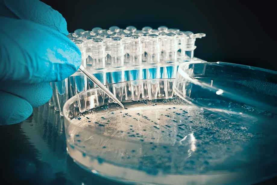 96-well plate, Immunofrade, clear